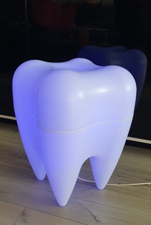 Backenzahnmodell groß, LED Beleuchtung